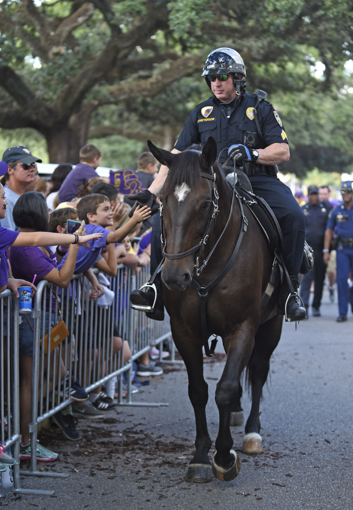 BR.brpdhorses.adv HS 048.JPG